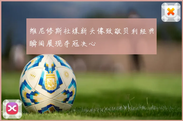 维尼修斯社媒新头像致敬贝利经典瞬间展现夺冠决心