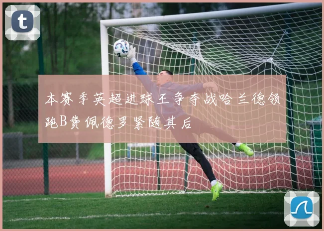 本赛季英超进球王争夺战哈兰德领跑B费佩德罗紧随其后