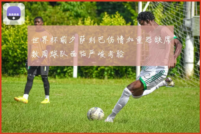 世界杯前夕萨利巴伤情加重恐缺席数周球队面临严峻考验