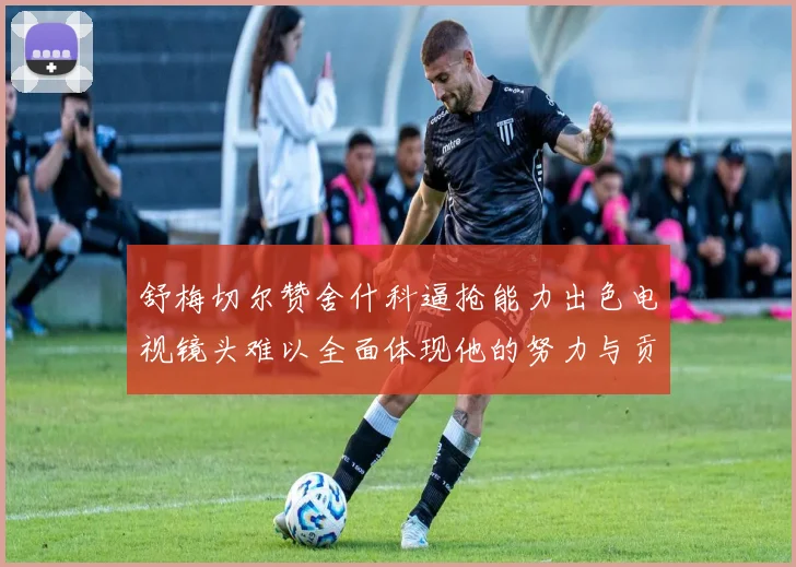 舒梅切尔赞舍什科逼抢能力出色电视镜头难以全面体现他的努力与贡献